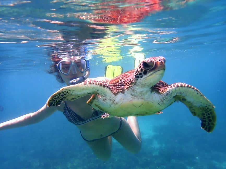 Immagine nº 8 di Da Al-Seeb: gita in barca alle isole Dimaniyat con snorkeling attività a Seeb, caricata dal fornitore