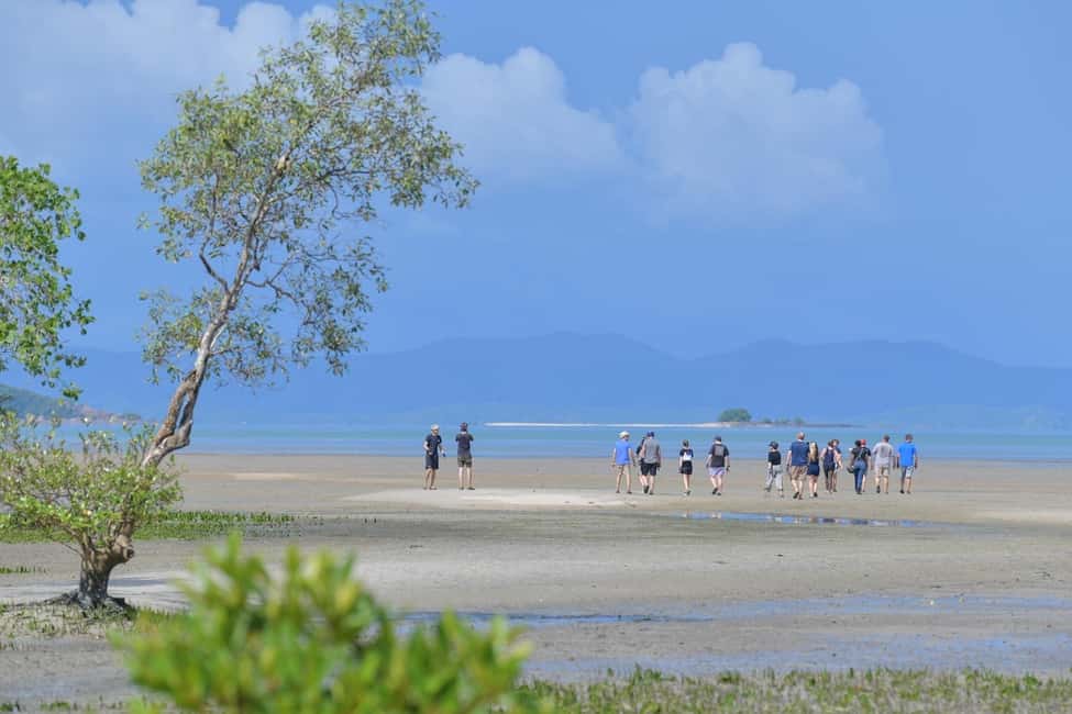 image n.27 of Phuket: ATV Mangrove Jungle & Hidden Beach Tour activity in Gulf of Thailand, uploaded by supplier