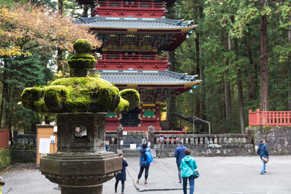 Immagine nº 10 di Da Tokyo: tour privato Nikko Nature & Culture Escape attività a Nikkō, caricata dal fornitore