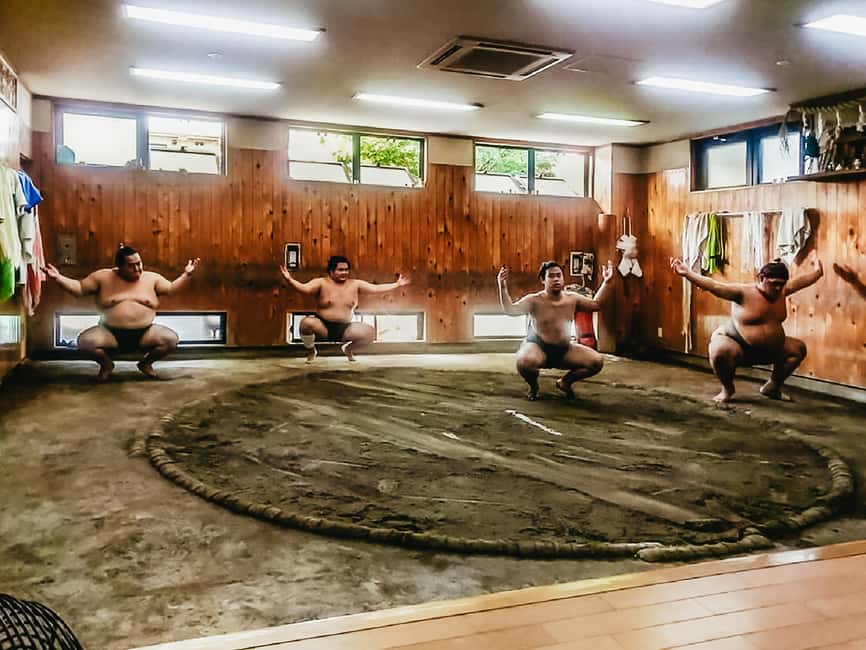 image n.3 of Tokyo: Sumo Morning Training Visit activity in Tokyo, uploaded by supplier