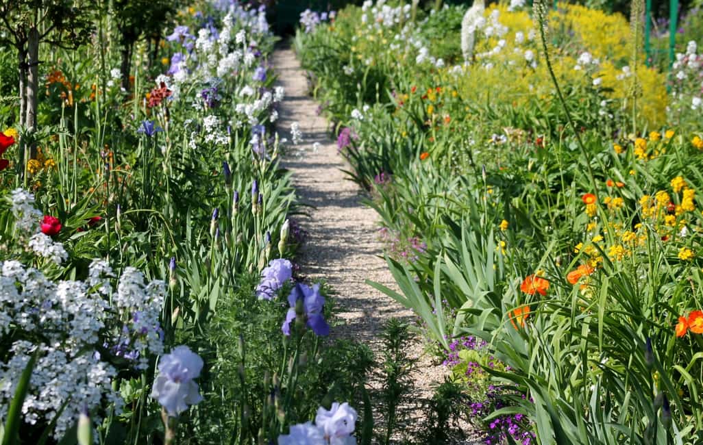 billede nr.1 af aktiviteten Paris VIP: Giverny Gardens Monet House Chaufførkørsel 5 timer i Paris, uploadet af udbyder