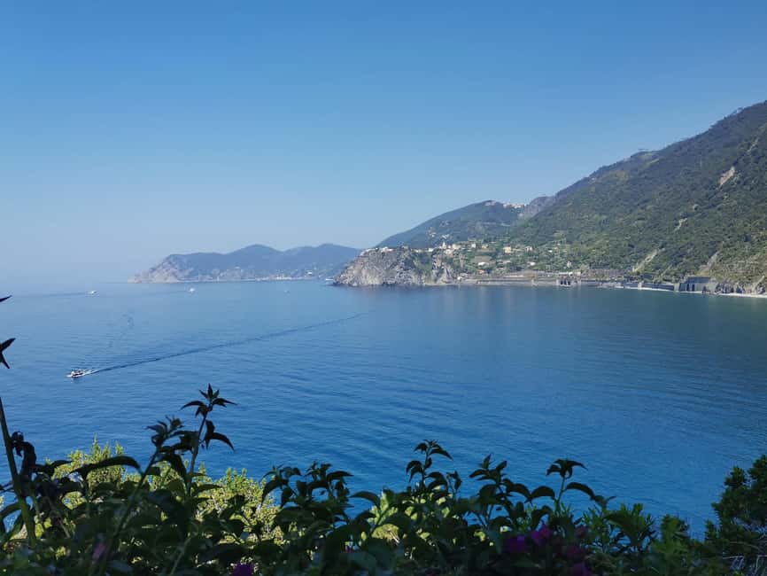 Immagine nº 17 di Da Firenze: Tour per piccoli gruppi alle Cinque Terre e a Pisa attività a Pisa, caricata dal fornitore