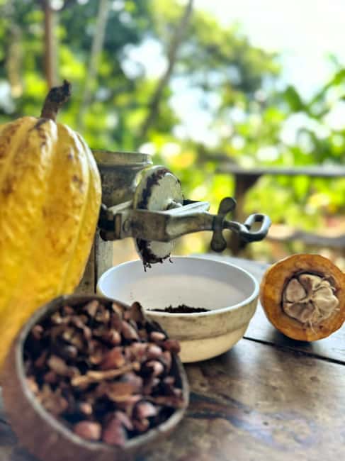 image n.1 of Cacao Experience Tour activity in Magdalena, uploaded by supplier