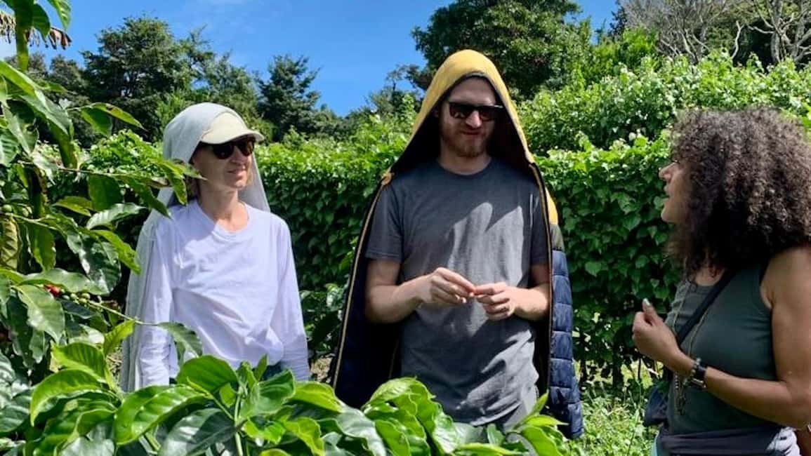 Bild Nr. 4 von Boquete, Panama: Specialty Coffee Tour Aktivität in Bajo Boquete, hochgeladen vom Anbieter