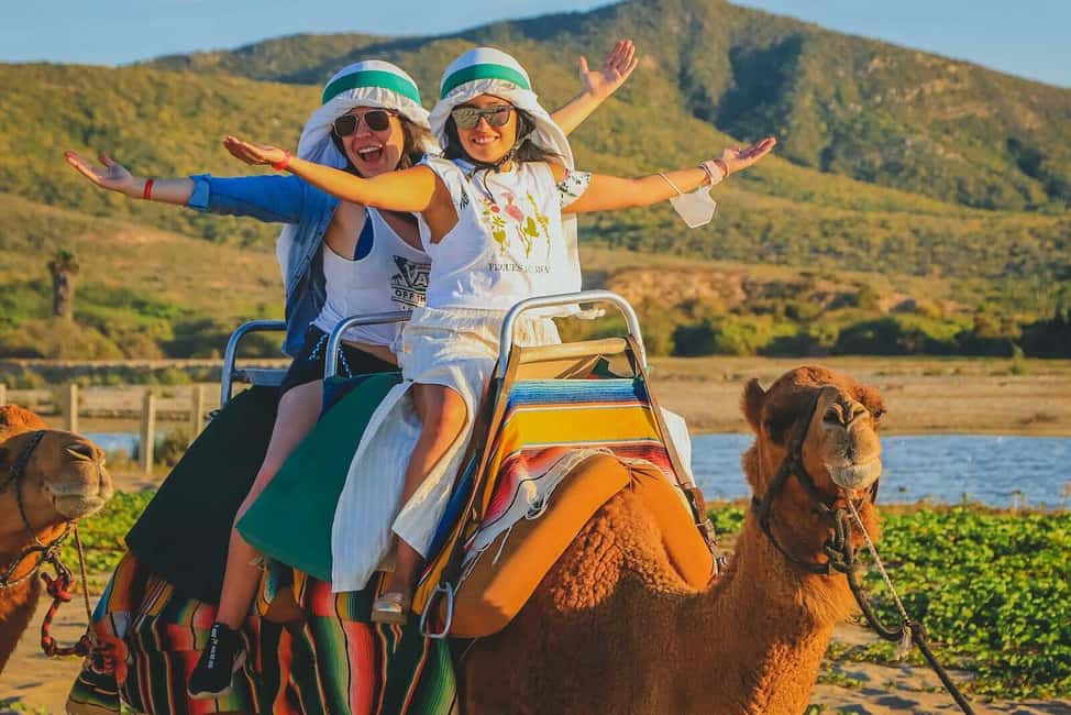 image n.1 of Cabo San Lucas: Camel Ride on the Beach activity in Cabo San Lucas, uploaded by supplier