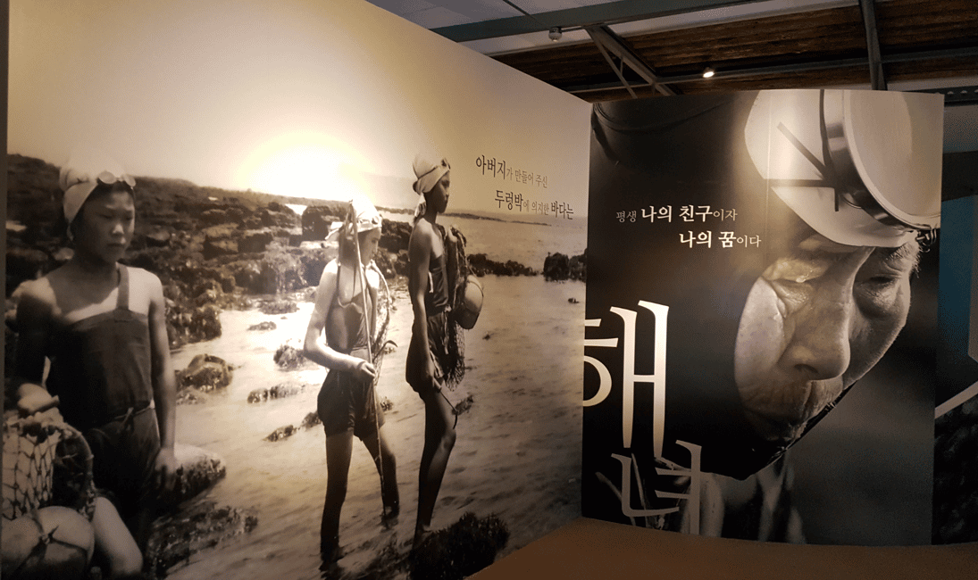 image n.11 of Jeju EAST Course : UNESCO (Seongsan-ilchulbong) BUS TOUR activity in Jeju-si, uploaded by supplier