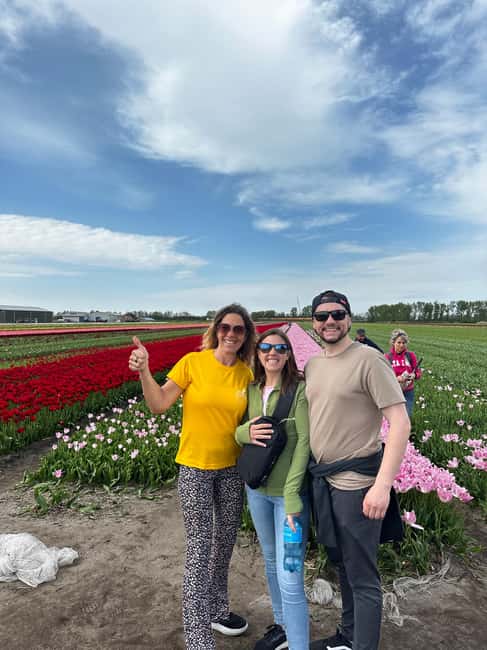 image n.46 of From Lisse: Keukenhof Flower Fields Bike Tour activity in Lisse, uploaded by supplier