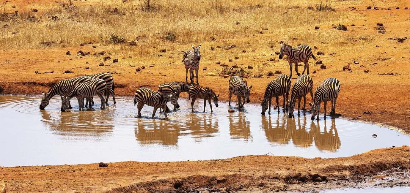 image n.14 of Mombasa: 3-Days 2-Nights Tsavo East and West Private Safari. activity in Coast Province, uploaded by supplier
