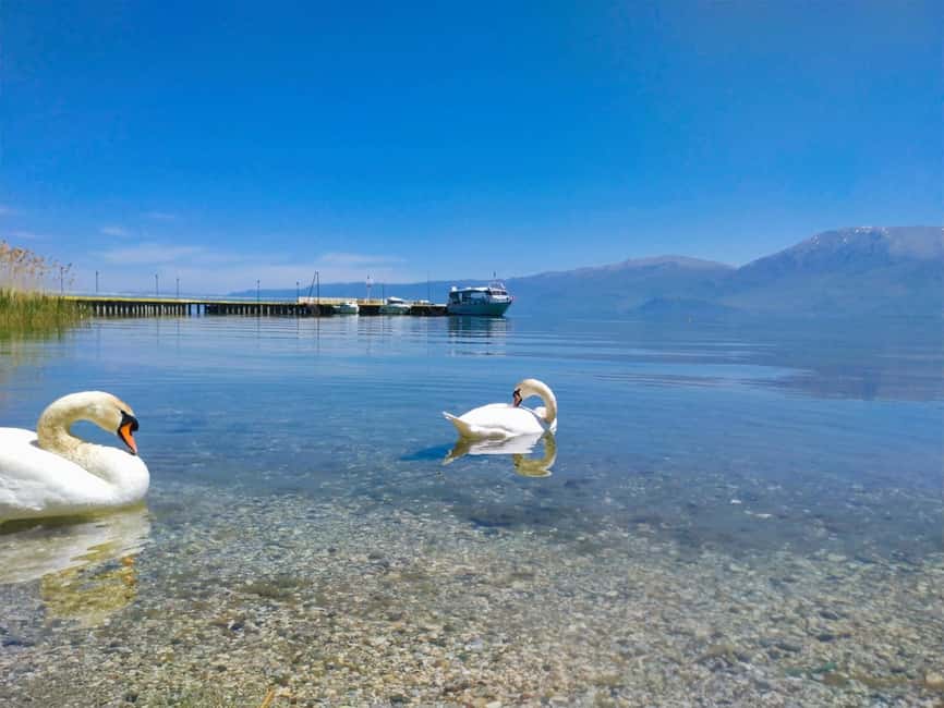 Bild Nr. 9 von Von Tirana: Ohrid-See, Drilon, Lin, Pogradec mit Mittagessen Aktivität in St. Naum, hochgeladen vom Anbieter