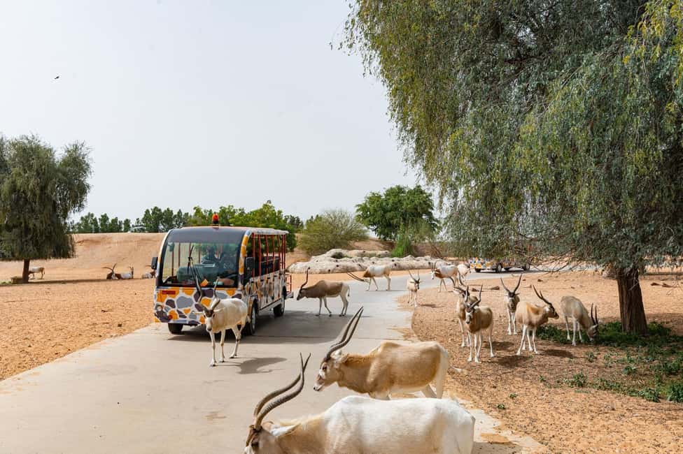 image n.22 of Dubai: Dubai Safari Park Entry Pass activity in Dubai, uploaded by supplier