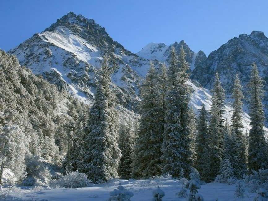 billede nr.4 af aktiviteten Fra Bishkek: Halvdagsudflugt til Ala-Archa Nationalpark i Bishkek, uploadet af udbyder