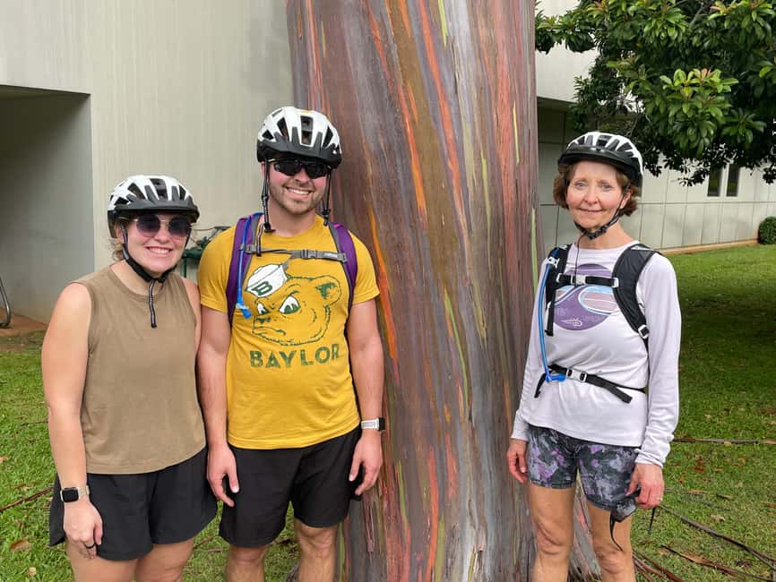 Immagine nº 37 di Oahu: Giro in bici elettrica a Waikiki ed escursione alle cascate di Manoa attività a Honolulu, caricata dal fornitore