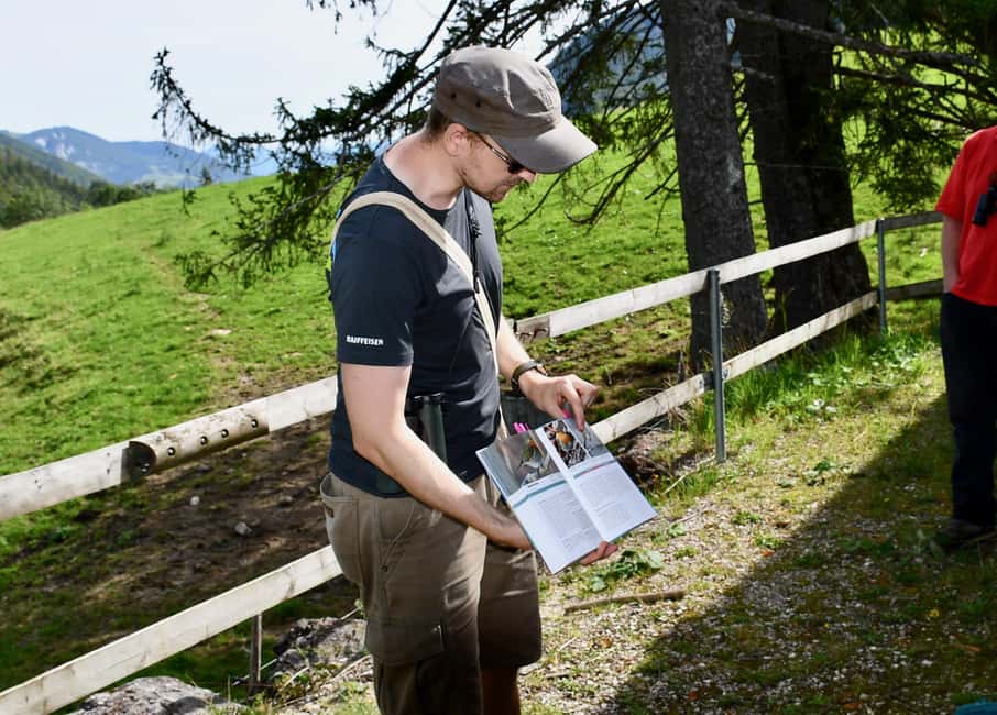 image n.2 of Switzerland: Private nature safari with local guide. Discover the Alps, lakes, and more. activity in Lucerne, uploaded by supplier