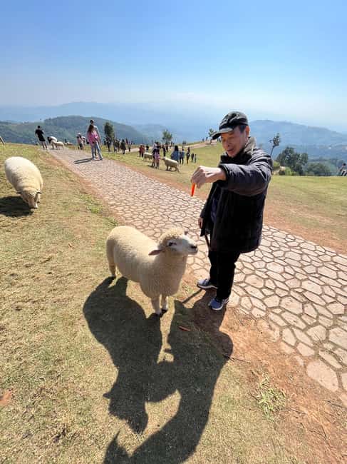 image n.33 of From Chiang Rai: Doi Chang Coffee Route & Temple Treasures activity in Chiang Rai (Province), uploaded by supplier