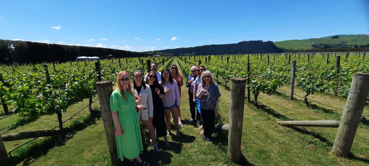 image n.5 of From Wellington: Martinborough Winery Tour activity in Wellington, uploaded by supplier