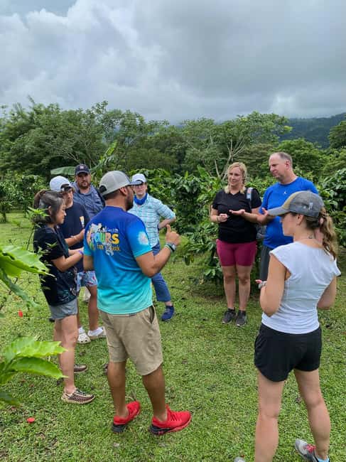 Immagine nº 12 di Guanacaste: gita di un giorno alla foresta pluviale, ai bradipi e alla natura con pranzo attività a Alajuela, caricata dal fornitore