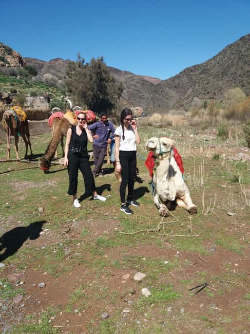 image n.7 of Marrakech: ourika valley & waterfall Day Trip with guide activity in Marrakesh, uploaded by supplier