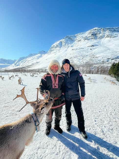image n.5 of Tromsø: Reindeer Experience at a Sami Camp activity in Tromsø, uploaded by supplier