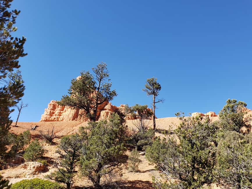 image n.11 of Small Group Tour Zion & Bryce Canyon National from Las Vegas activity in Utah, uploaded by supplier