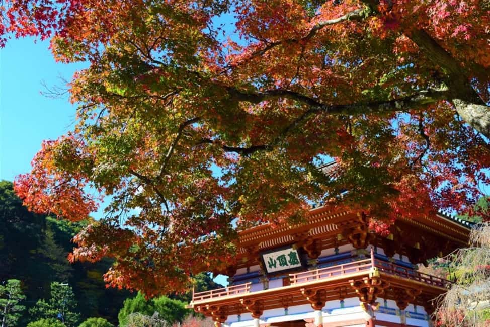 サプライヤーによってアップロードされた、京都の大阪：箕面、勝尾寺、嵐山、平等院（神戸牛ランチ付き）の画像#14