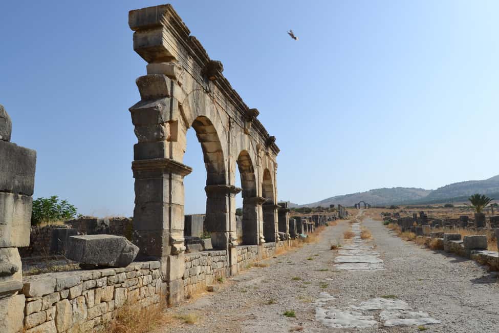 billede nr.72 af aktiviteten Dagstur fra Fes til Volubilis via Meknes og Moulay Idriss i Meknès, uploadet af udbyder