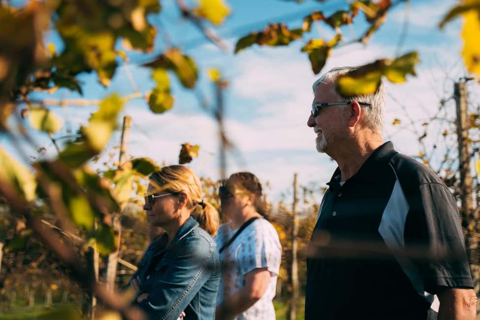 image n.5 of From Venice: Prosecco Wine Region Tour with 2 Tastings activity in Venice, uploaded by supplier