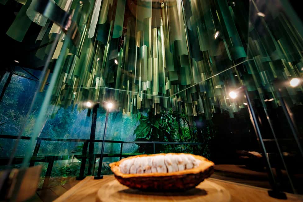 image n.9 of Hamburg: Chocoversum Guided Tour with Tastings activity in Hamburg, uploaded by supplier