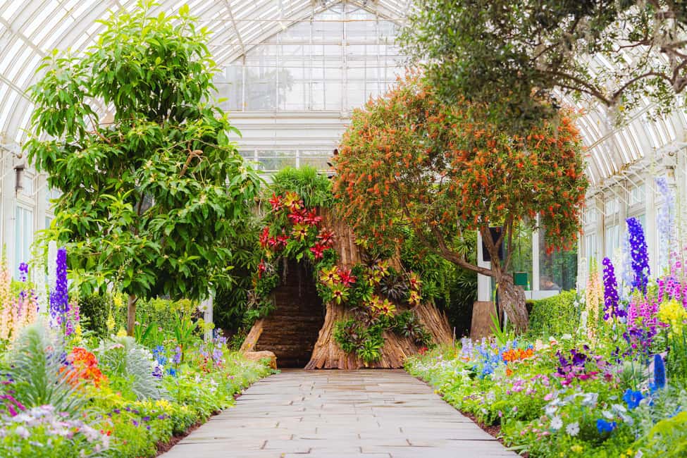 image n.13 of NYC: New York Botanical Garden Pass activity in New York City, uploaded by supplier