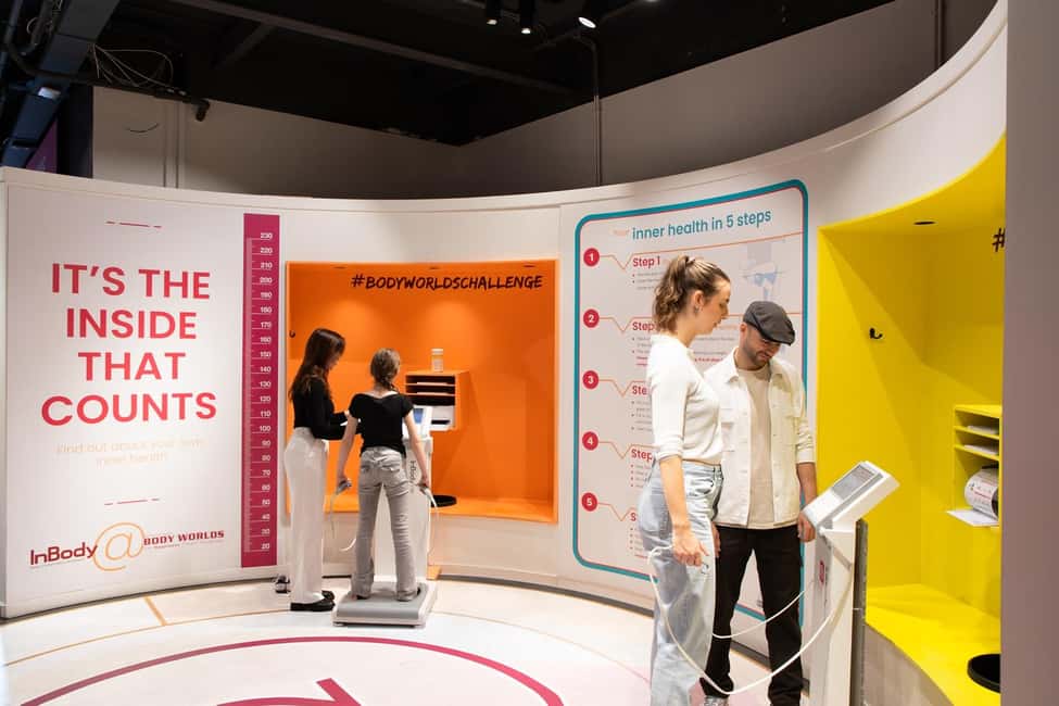 image n.2 of Body Worlds Amsterdam: The Happiness Project Ticket activity in Amsterdam, uploaded by supplier