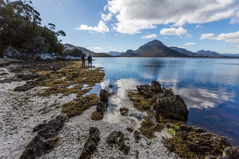 image n.7 of Hobart: Fly & Cruise in Southwest Wilderness Area with Lunch activity in Hobart, uploaded by supplier