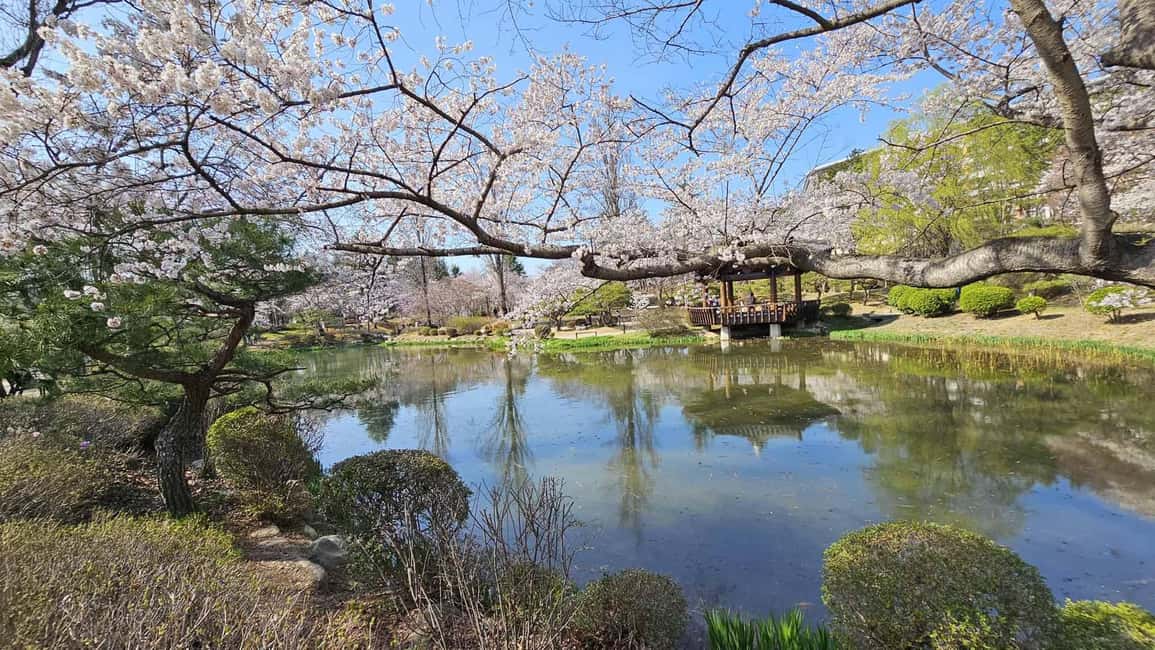 image n.6 of Gyeongju: Private Car Charter Taxi Tour activity in Gyeongju, uploaded by supplier