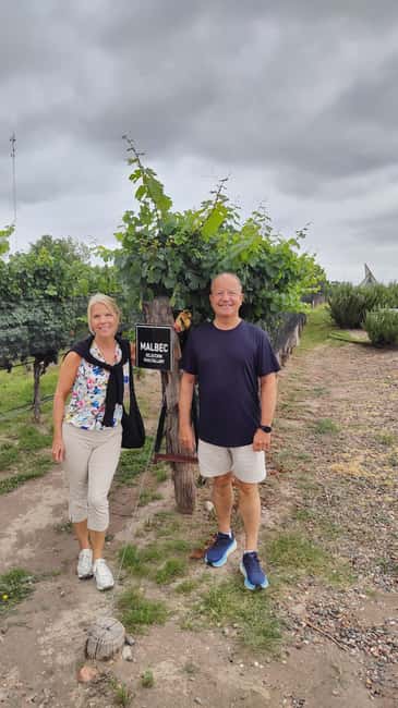 image n.4 of Mendoza's top wineries! Semi-private tour activity in Tupungato, Mendoza, uploaded by supplier