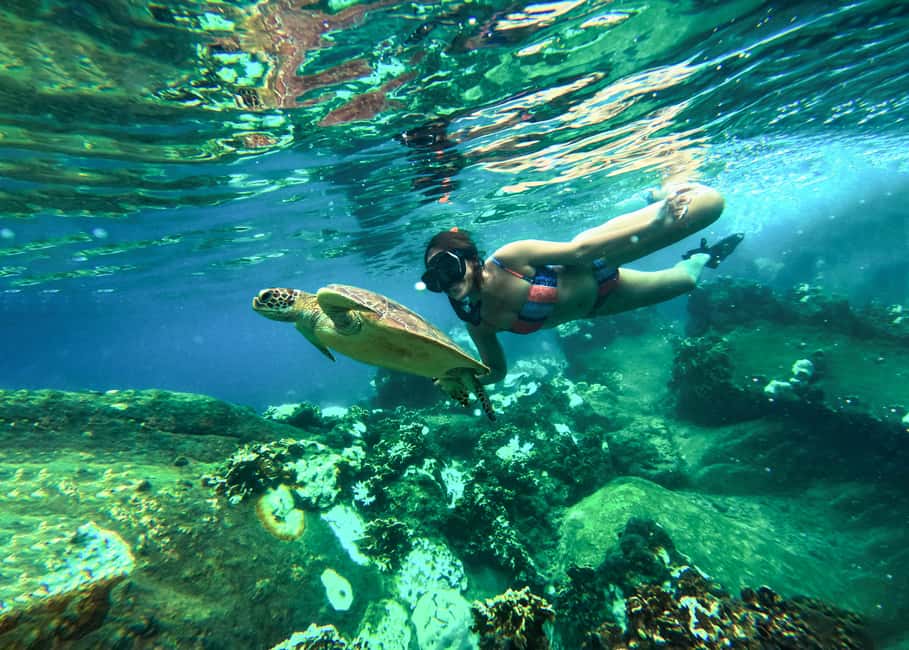 billede nr.15 af aktiviteten Privat charterbåd rundt i snorkelparadiset Koh Tao i Ko Tao, uploadet af udbyder