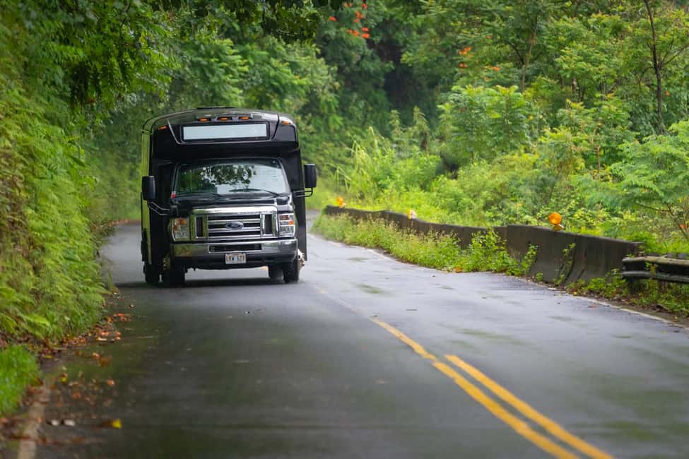 image n.4 of From Oahu: Maui Road to Hana Sightseeing Tour activity in Hawaii, uploaded by supplier