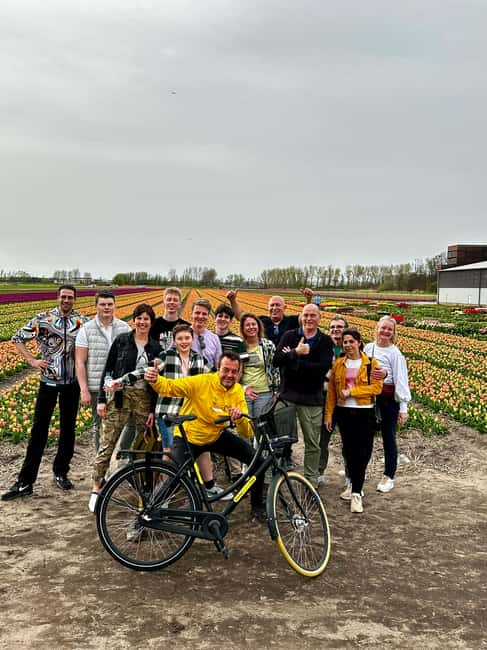 image n.42 of From Lisse: Keukenhof Flower Fields Bike Tour activity in Lisse, uploaded by supplier