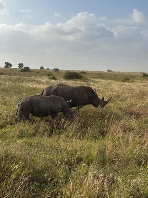 image n.30 of Nairobi: Karen Blixen, Elephant Orphanage and Giraffe Center activity in Nairobi, uploaded by supplier
