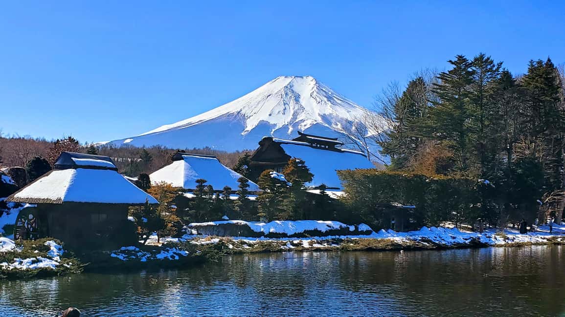 image n.13 of Mount Fuji Full-Day Private Tour from Yokohama Customizable activity in Fujikawaguchiko, uploaded by supplier