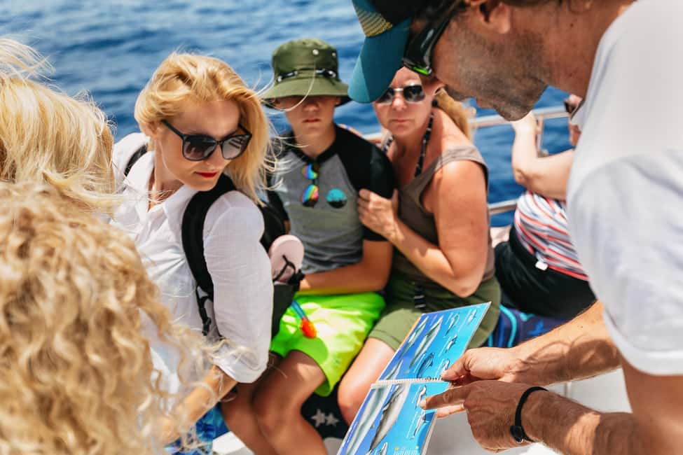 billede nr.9 af aktiviteten Costa Adeje: Hvalsafari med katamaran og drikkevarer i Costa Adeje, uploadet af udbyder