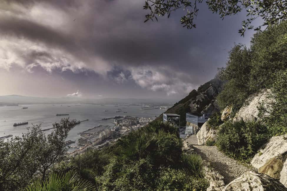 imagen n.º 21 de Gibraltar: Ticket de entrada a la Reserva Natural del Peñón Superior actividad en Gibraltar, subida por el proveedor