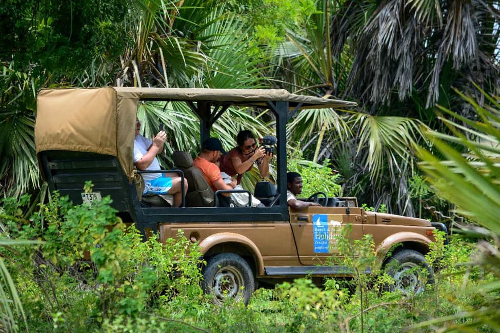 image n.51 of From Zanzibar: Day Selous Game Reserve Safari with Flights activity in Morogoro Region, uploaded by supplier