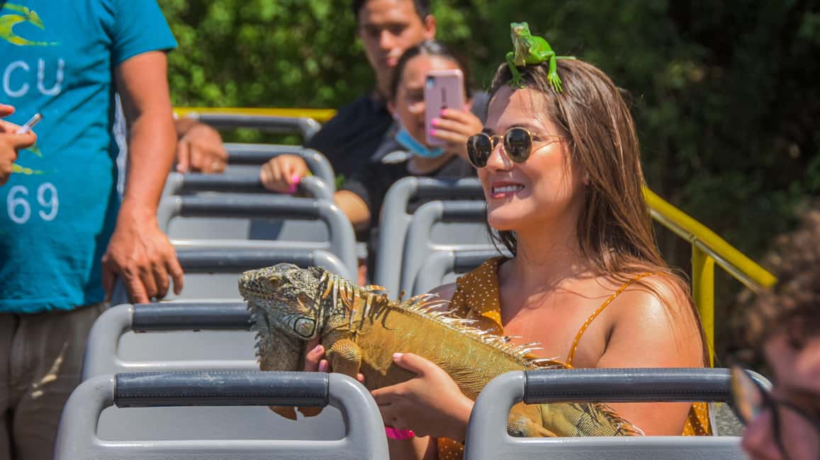 image n.11 of Puerto Vallarta: Hop-On-Hop-Off City Bus Tour activity in Mismaloya, uploaded by supplier