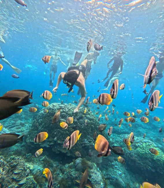 image n.12 of From Lembongan: Manta Point Snorkeling & West Penida Tour activity in Bali, uploaded by supplier