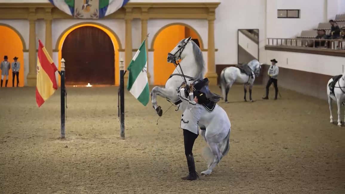 imagen n.º 1 de Desde Sevilla: Jerez, Cádiz y los Caballos Andaluces actividad en Jerez de la Frontera, subida por el proveedor