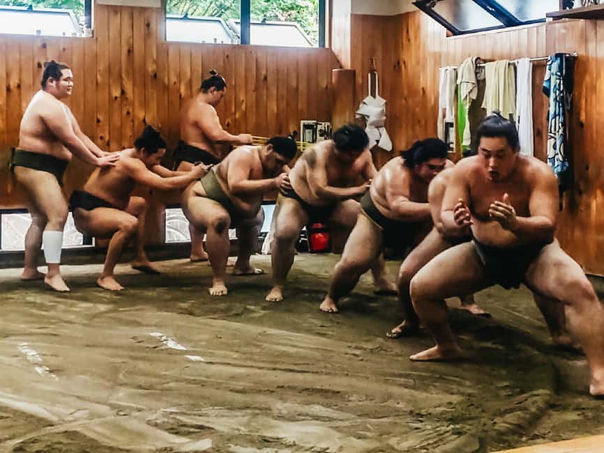 image n.4 of Tokyo: Sumo Morning Training Visit activity in Tokyo, uploaded by supplier