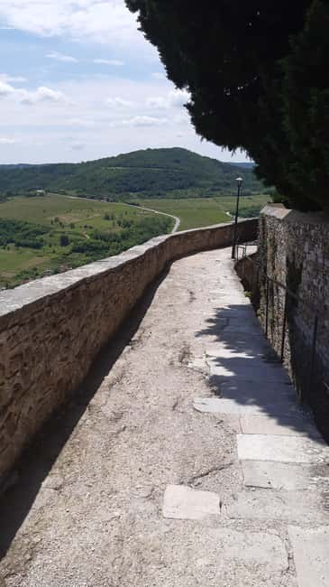 Immagine nº 16 di Istria: tour guidato dell'Istria interna con degustazione di cibo attività a Istarska, caricata dal fornitore