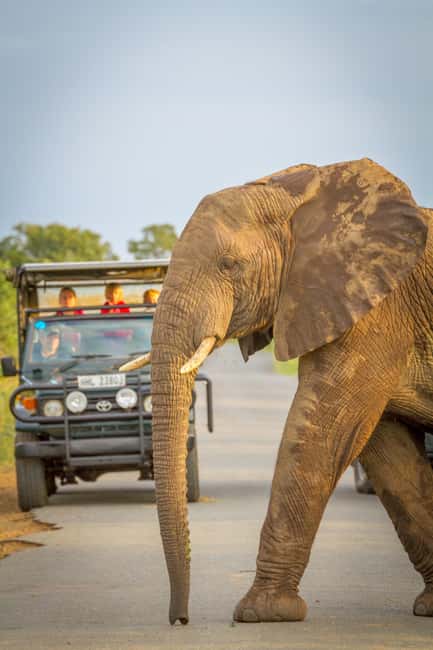 image n.4 of Durban:3 Day Hluhluwe-Imfolozi Park, St Lucia, iSimangaliso activity in Hlabisa, uploaded by supplier