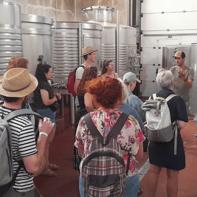 image n.16 of From Albufeira: Full-Day Wine Tasting Tour with a Guide activity in Monchique, uploaded by supplier