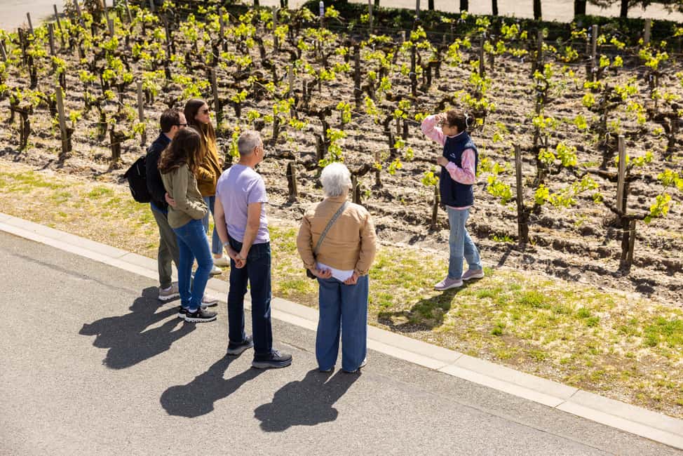 image n.2 of Médoc Morning Wine Tour - Winery & Tastings activity in Bordeaux, uploaded by supplier