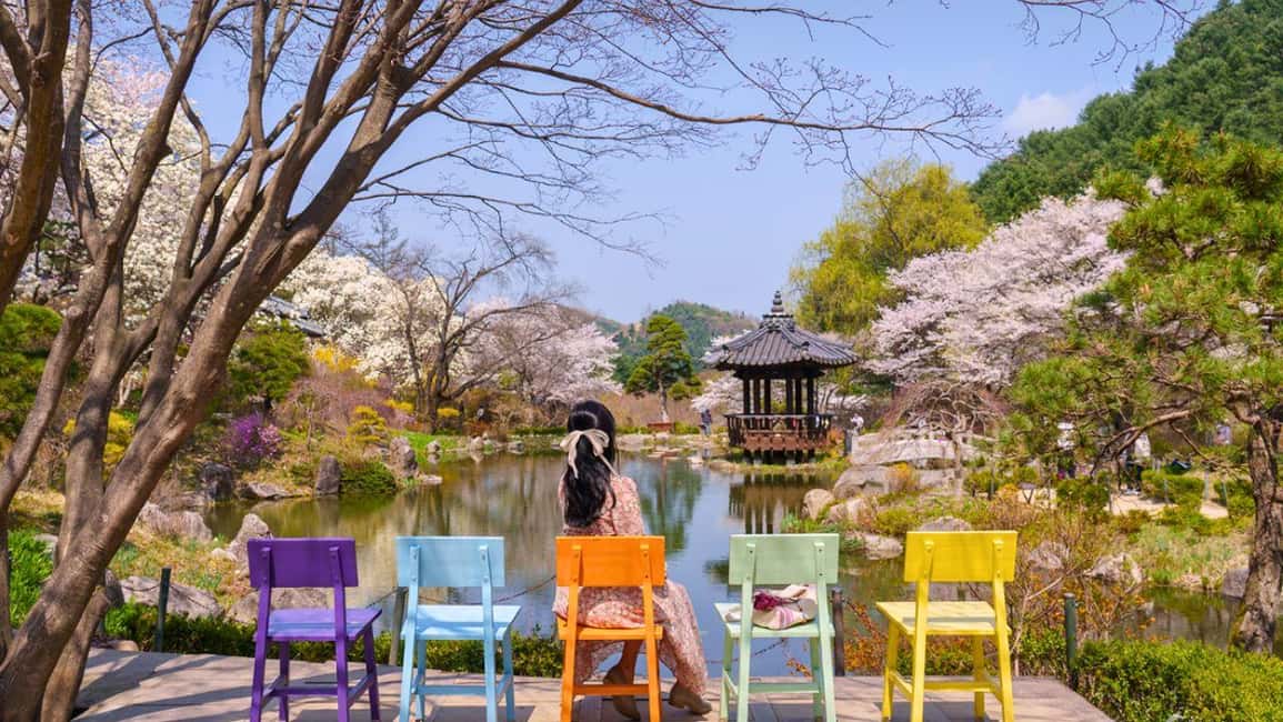 imagen n.º 14 de Desde Seúl: Parque de las Begonias, bicicleta sobre raíles y visita a los jardines. actividad en Gapyeong-gun, subida por el proveedor