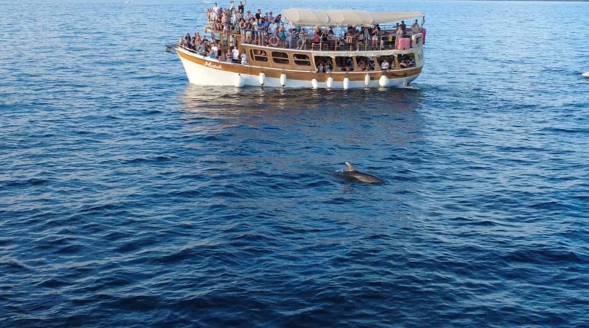 Bild Nr. 2 von Novigrad: Bootstour zur Delfinbeobachtung bei Sonnenuntergang mit Matek Aktivität in Novigrad, hochgeladen vom Anbieter